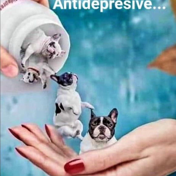 Meet your Posher, Carol - Picture 1 of 1